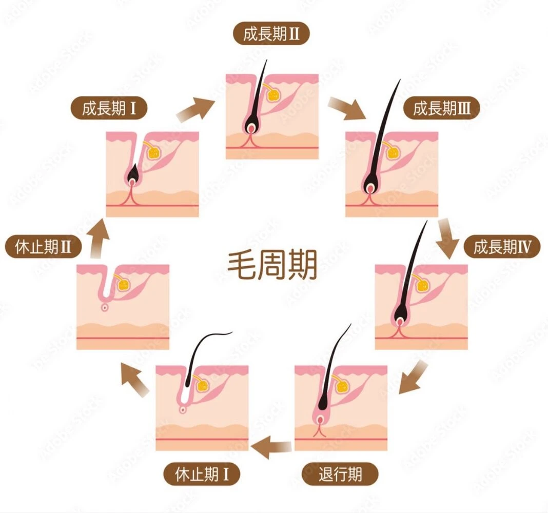 画像2377